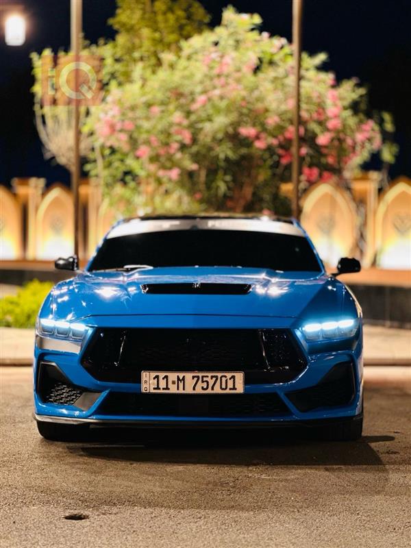 Ford for sale in Iraq